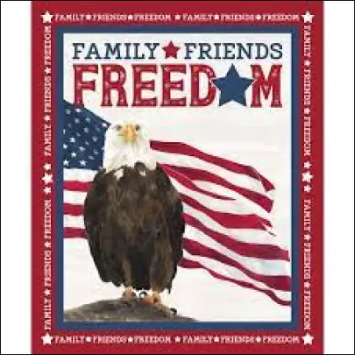 Riley Blake Designs Let Freedom Soar panel Panel RB0079